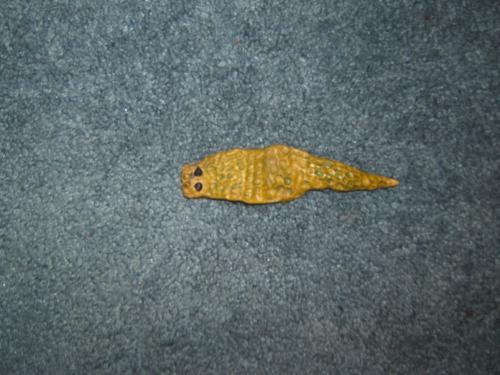 <img:http://elftown.heddate.com/img/drawing/64428_1157412825.jpg>