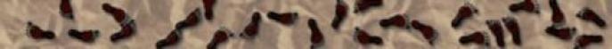 <img0*55:img/drawing/67844_1126968952.jpg>