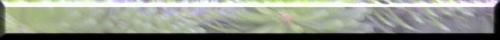 <img:http://elftown.heddate.com/img/drawing/71924_1099074794.jpg?y=0&x=600>