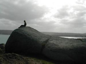 <img300*0:http://elftown.heddate.com/img/drawing/72236_1128861722.jpg>