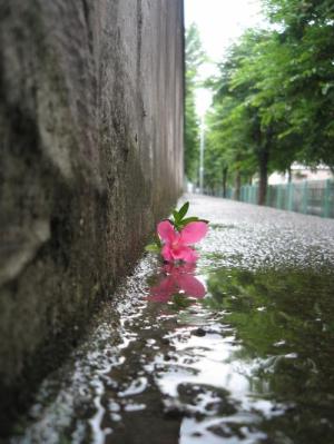 <img300*0:http://elftown.heddate.com/img/drawing/72236_1151309962.jpg>