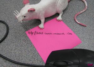 <img300*0:http://elftown.heddate.com/img/drawing/73632_1195237898.jpg>