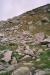 <img50*0:http://elftown.heddate.com/img/drawing/74934_1126556184.jpg>