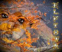 <img200*0:http://elftown.heddate.com/img/drawing/76589_1113586910.jpg>