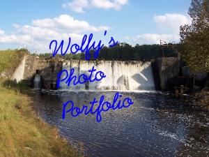 <img300*0:http://elftown.heddate.com/img/drawing/80937_1168366366.jpg>