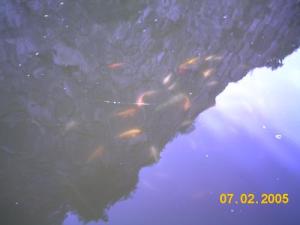 <img300*0:http://elftown.heddate.com/img/drawing/82414_1128062859.jpg>
