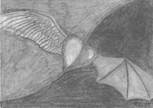 <img:http://elftown.heddate.com/img/drawing/82488_1110088477.jpg>