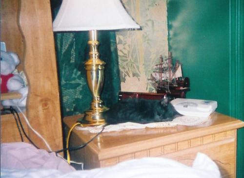 <img:img/drawing/82813_1114313935.jpg>