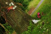 <img200*0:http://elftown.heddate.com/img/drawing/83208_1244578198.jpg>