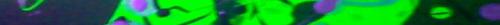 <img720*25:http://elftown.heddate.com/img/drawing/91017_1132364694.jpg>