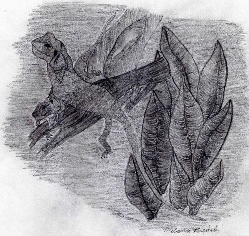 <img:http://elftown.heddate.com/img/drawing/91900_1100905822.jpg>