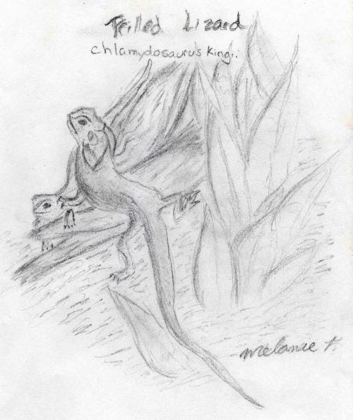 <img:http://elftown.heddate.com/img/drawing/91900_1100906158.jpg>