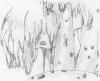 <img100*0:http://elftown.heddate.com/img/drawing/91900_1148866092.jpg>