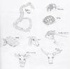 <img100*0:http://elftown.heddate.com/img/drawing/91900_1156212558.jpg>