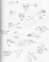 <img100*0:http://elftown.heddate.com/img/drawing/91900_1156212675.jpg>