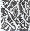 <img100*0:http://elftown.heddate.com/img/drawing/91900_1163103333.jpg>