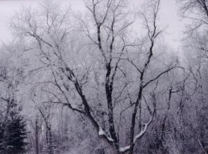 <img300*0:http://elftown.heddate.com/img/drawing/92238_1110220796.jpg>