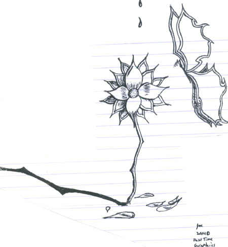 drawing
