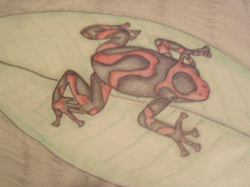 <img:http://elftown.heddate.com/img/drawing/9401_1120972641.jpg>