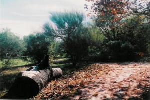 <img300*0:http://elftown.heddate.com/img/drawing/94205_1110613040.jpg>