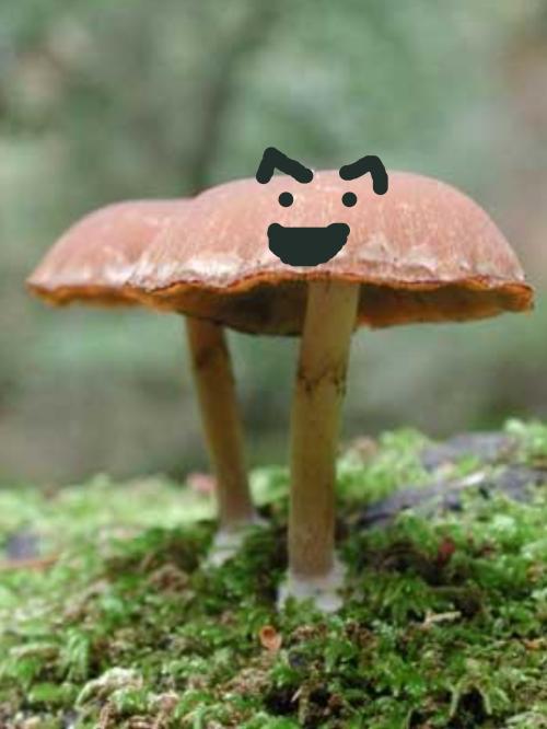 <img:http://elftown.heddate.com/img/drawing/96186_1160357626.jpg>