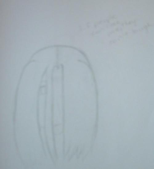 <img:http://elftown.heddate.com/img/drawing/96728_1123452925.jpg>
