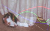 <img200*0:img/drawing/97422_1145756915.jpg>