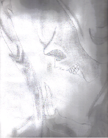 <img:http://elftown.heddate.com/img/drawing/98781_1121807719.jpg>