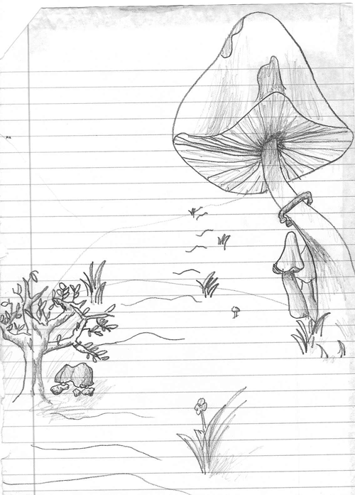 <img:http://elftown.heddate.com/img/drawing/9928_1086744962.gif>