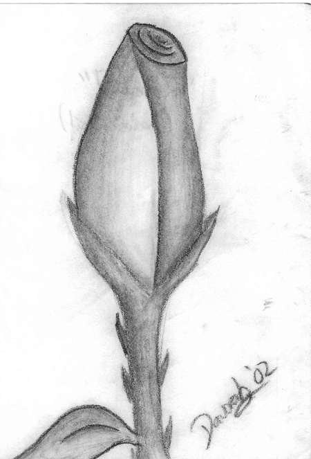 <img:http://elftown.heddate.com/img/drawing/9928_1086745827.gif>