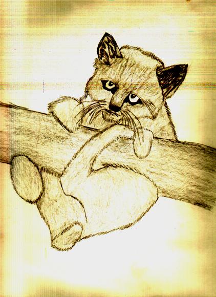 <img:http://elftown.heddate.com/img/drawing/SeLoCeS1069290883.jpg>