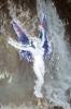 Featured Art 2004-06-22