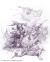 <img50*0:img/drawing/Sloakum1070856480.jpg>