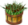 <img:http://elftown.heddate.com/img/mood/119747_1290291860.png>