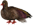 <img:http://elftown.heddate.com/img/mood/119747_1290292223.png>