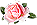 <img:img/mood/119747_1291126447.png>