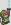 <img:img/mood/122885_1125125939.jpg>
