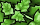 <img:img/mood/131728_1139297237.gif>