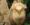 <img:img/mood/145734_1120324961.jpg>