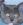 <img:img/mood/158961_1226972031.jpg>