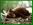 <img:img/mood/161456_1215354125.jpg>