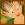 <img:img/mood/52705_1218396676.jpg>