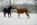 <img:img/mood/6592_1178761381.jpg>