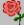 <img:img/mood_premade/Red_Rose.jpg>