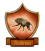 <img:img/new/Academy3.gif>