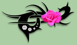 <img:http://elftown.heddate.com/img/new/pinkrosedivider.jpg>