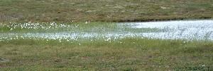 <img300*0:http://elftown.heddate.com/img/photo/100046_1128369621.jpg>