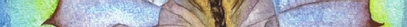 <img:http://elftown.heddate.com/img/photo/101986_1141901925.jpg>
