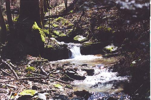 <img:http://elftown.heddate.com/img/photo/102271_1113798833.jpg >