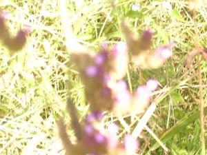 <img300*0:http://elftown.heddate.com/img/photo/107993_1110777964.jpg>